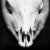:iconwildanduntamed: