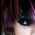 :iconwildbay972: