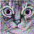 :iconwildcat1: