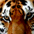 :iconwildchick1:
