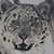:iconwildcritterz: