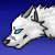 :iconwilddcatt: