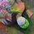 :iconwilde20054: