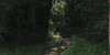 :iconwilderness-express: