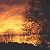 :iconwildespace: