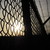 :iconwildfire1361: