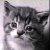 :iconWildfire55: