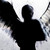 :iconwildfloweblossom678: