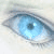 :iconwildforest: