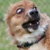 WildGrinMajszel :iconwildgrinmajszel: