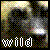 :iconwildheart96: