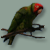 :iconwildheartfreesoul: