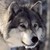 :iconwildheartwilliam508: