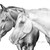 :iconwildhorses-love: