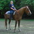 :iconwildhorses2:
