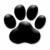 :iconwildiceshadows: