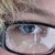:iconwildingo: