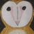 :iconwildkatattack: