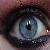 :iconwildlife-naturefreak: