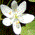 :iconwildlifepooka: