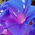 :iconwildpainter: