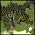 :iconwildpelt8836:
