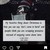 :iconwildpetals: