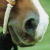 :iconwildrider0888: