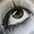 :iconwildside-galleries: