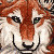 :iconwildspiritw0lf: