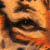 :iconwildtiger: