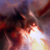 wildtrax :iconwildtrax: