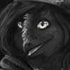 :iconwildwolfdog: