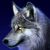 :iconwildwolfflower:
