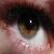 :iconwildwolfsdarkdreams: