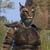 :iconwildzip2:
