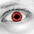 :iconwilkwilkwilk: