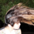 :iconwillamazing:
