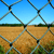 :iconwillcross: