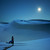:iconwillfuldesertrose: