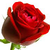:iconwilliam-the-prince: