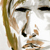 :iconwilliamholbert:
