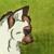 :iconWilliamNakki: