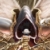 :iconwilliamwolfes: