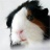 :iconwillie1111: