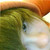 :iconwilloncrack: