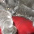 :iconwillow-fli: