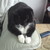 :iconwillow-roxie: