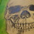 :iconwillow0: