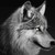 :iconwillow9732:
